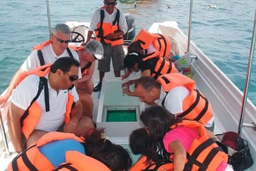 1 Hour Glass Boat with Private Transfer from Sharm El Sheikh