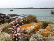 Electric biking from Clifden. Galway. Self guided.  7