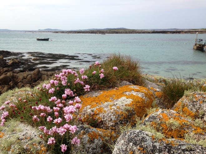 Cycling from Clifden. Galway. Self-guided.  6