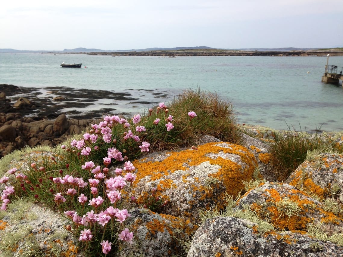 Electric biking from Clifden. Galway. Self guided.  7