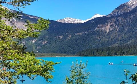 Day Tour of Lake Louise, Moraine Lake, and Banff Town