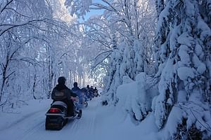 2 hour Snowmobile Safari in Lakeland forest and hills