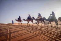 Private Desert Tour from Fes to Marrakech 3 days