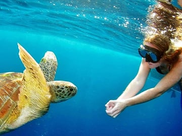 Surin Island Snorkeling Full-Day Tour from Khao Lak