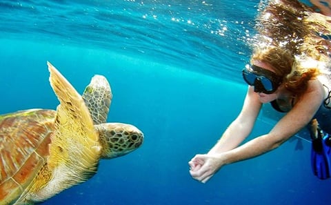 Surin Island Snorkeling Full-Day Tour from Khao Lak
