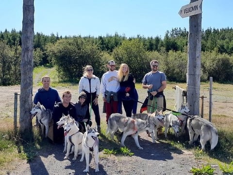 Hiking with Husky in Akureyri (private), photo 3