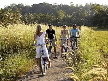 Cycling Through Paddy Fields and Villages in Galle