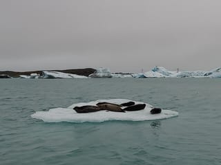 4 Days Golden Circle, Highlands and South Coast Adventure Private Tour , photo 15