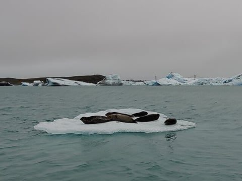 4 Days Golden Circle, Highlands and South Coast Adventure Private Tour , photo 15