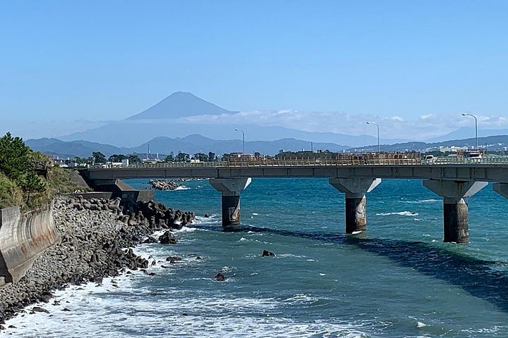 Guided Hybrid Bike Tour in Shizuoka City (Note: not e-bikes)