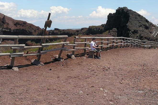Half day to Mount Vesuvius (4 hours) 9