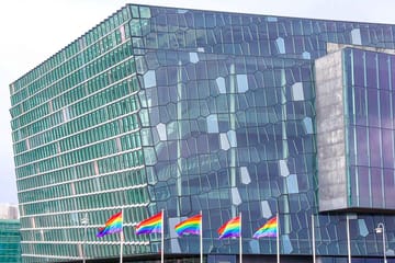 Private Reykjavik LGBTQ+ City Walk