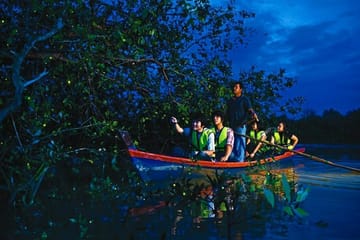 Private Kuala Lumpur City Tour with Batu Caves and Fireflies