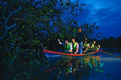 Private KL City, Batu Caves & Fireflies Combo Trip