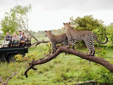 Sri Lanka:5-Day Wildlife Tour with Entry & Adventures Fees