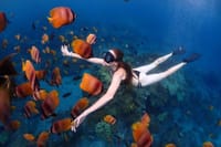 Bali Blue Lagoon Snorkeling with Lunch & Private Hotel Transfer 7
