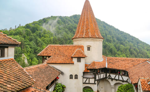 Explore Bran Castle and Rasnov Fortress from Brașov