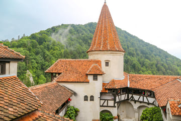 Explore Bran Castle and Rasnov Fortress from Brașov