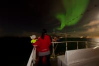 Reykjavík Whales & Northern Lights 6