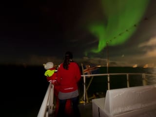 Reykjavík Whales & Northern Lights, photo 7