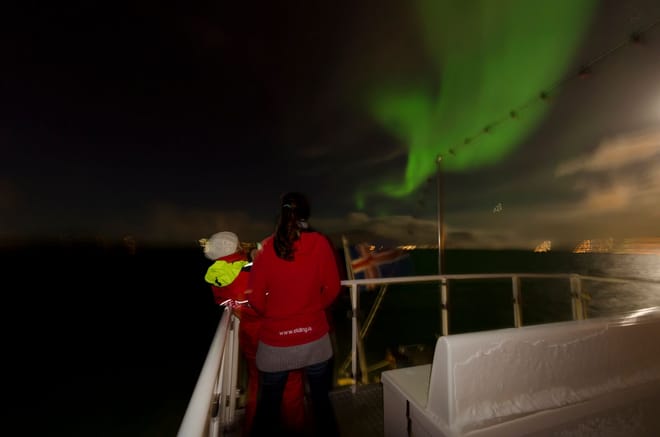 Reykjavík Whales & Northern Lights 6
