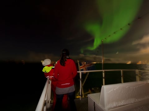 Reykjavík Whales & Northern Lights, photo 7