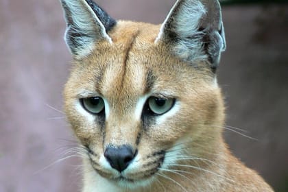 Bhuj to Narayan Sarovar Sanctuary & White Rann of Kutch