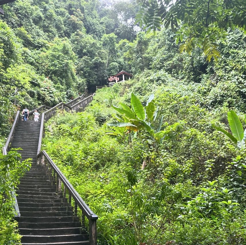 Vangvieng with  Cave   Kayak & Zipline (Departure from Vangvieng) 6