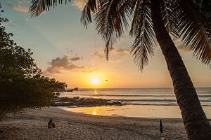 Liberia Airport Shuttle To Nosara & Guiones Beach Costa Rica