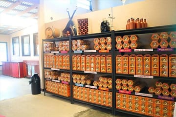 Culinary Tour of Chocolate and Rum Factories in Roatan