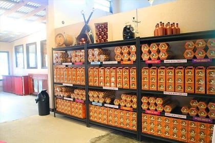 Chocolate Factory, Rum Factory, Markets, Island Tour, Private Transfer