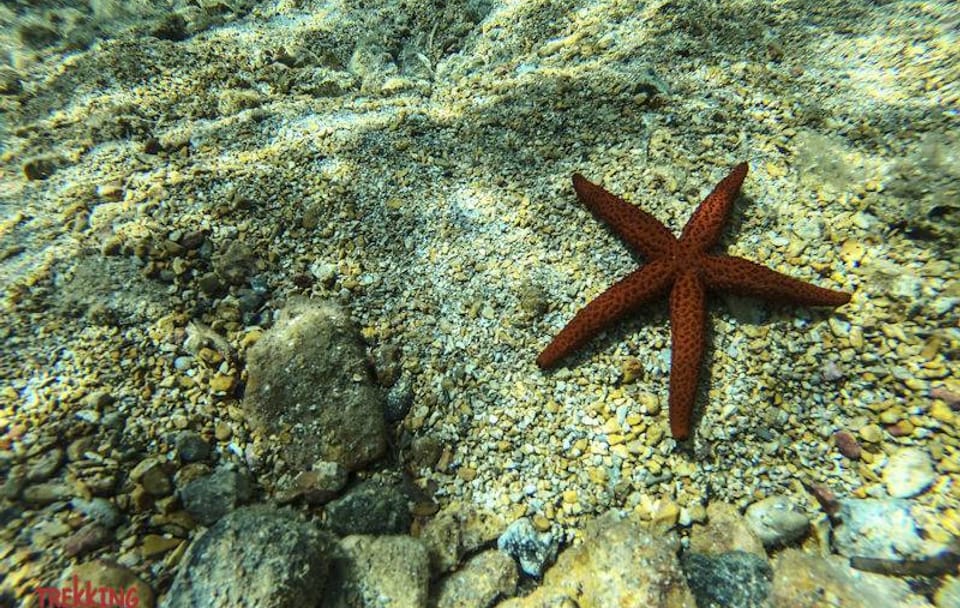 Two-Day Sea Kayak Adventure in Diaporos Islands, Greece
