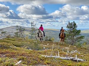 A small group horseback riding to the peak of Pyhä