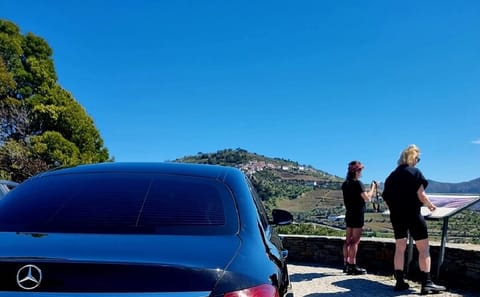 Douro Valley Day Trip from Porto with Optional Town Stops