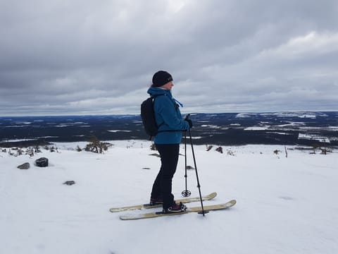 Wilderness Skiing in Powder Snow