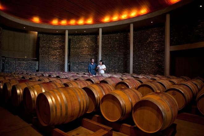 Matetic cellar