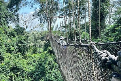 Kakum National Park Private Shore Excursion