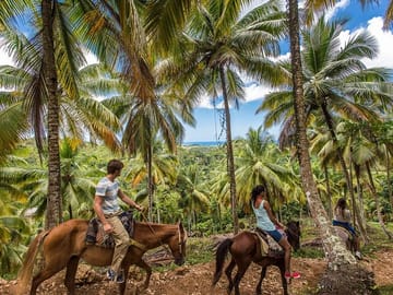 Horseback Riding Tour Through the Dominican Jungle