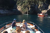 Sorrento coats experience