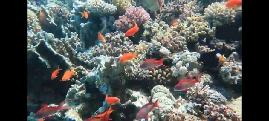 trip to the Valley of the Nile