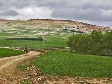 Tour of Morocco Private 12-Days via Imperial Cities and Merzouga