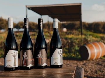 Heraklion Wine and Olive Oil Tasting Tour with Lunch