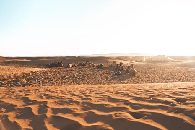 Zagora