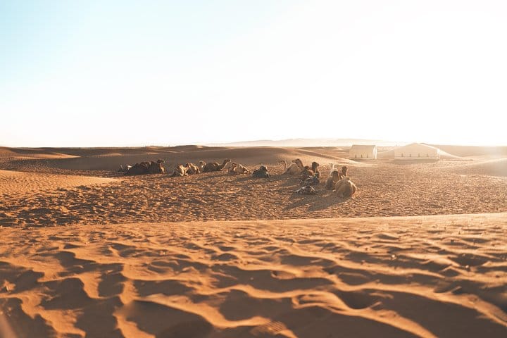Zagora