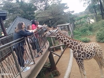 Giraffe Centre Kazuri Beads Maasai Collection Shopping Excursion