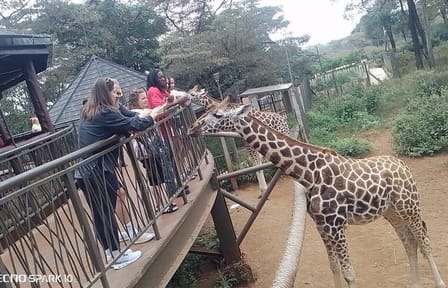 Giraffe Centre Kazuri Beads Maasai Collection Shopping Excursion