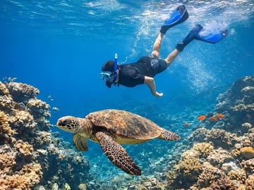 Abu Dabbab Full Day Snorkeling with Turtles & Dugong – Hurghada