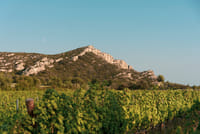 Visite du Domaine du Vallon des Glauges et dégustation 6