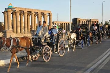 Horse Carriage Tour of Scenic Aswan, Egypt