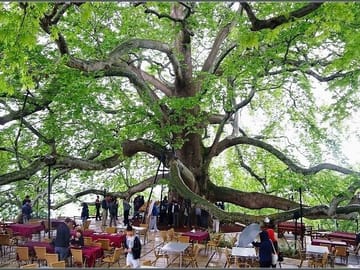 Full-Day Bursa City Tour from Istanbul with Lunch